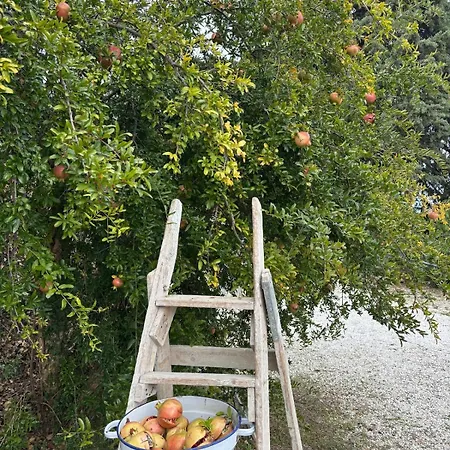 Vacation For Five In The Hills Of Abruzzo Arielli