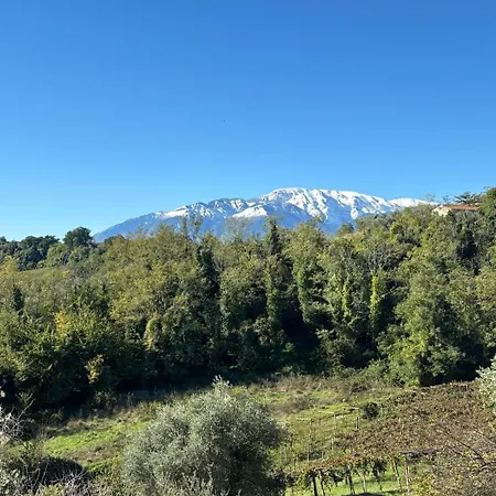 Vacation For Five In The Hills Of Abruzzo Appartamento Arielli