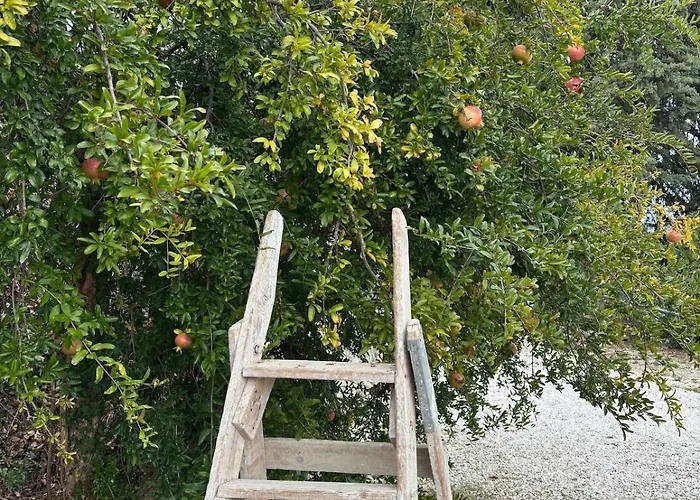 Vacation For Five In The Hills Of Abruzzo Arielli