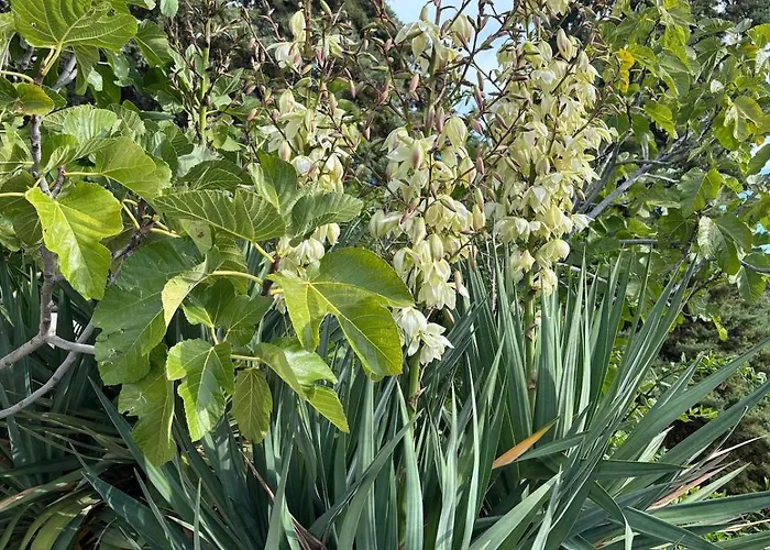 Vacation For Five In The Hills Of Abruzzo