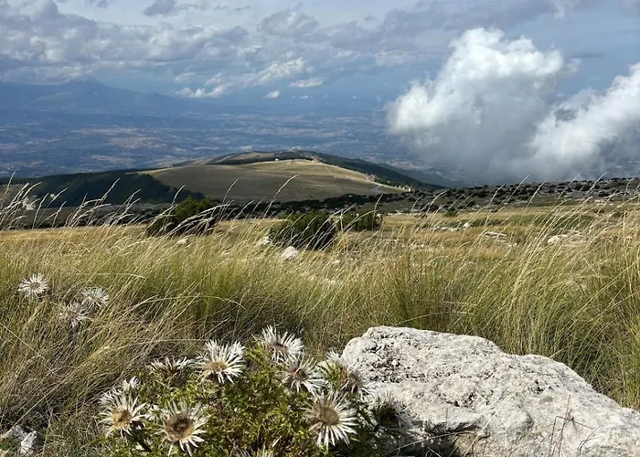 Vacation For Five In The Hills Of Abruzzo Апартаменты Arielli